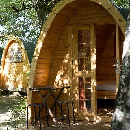 Camping Dolce Sole Marina di Massa Dış mekan fotoğraf