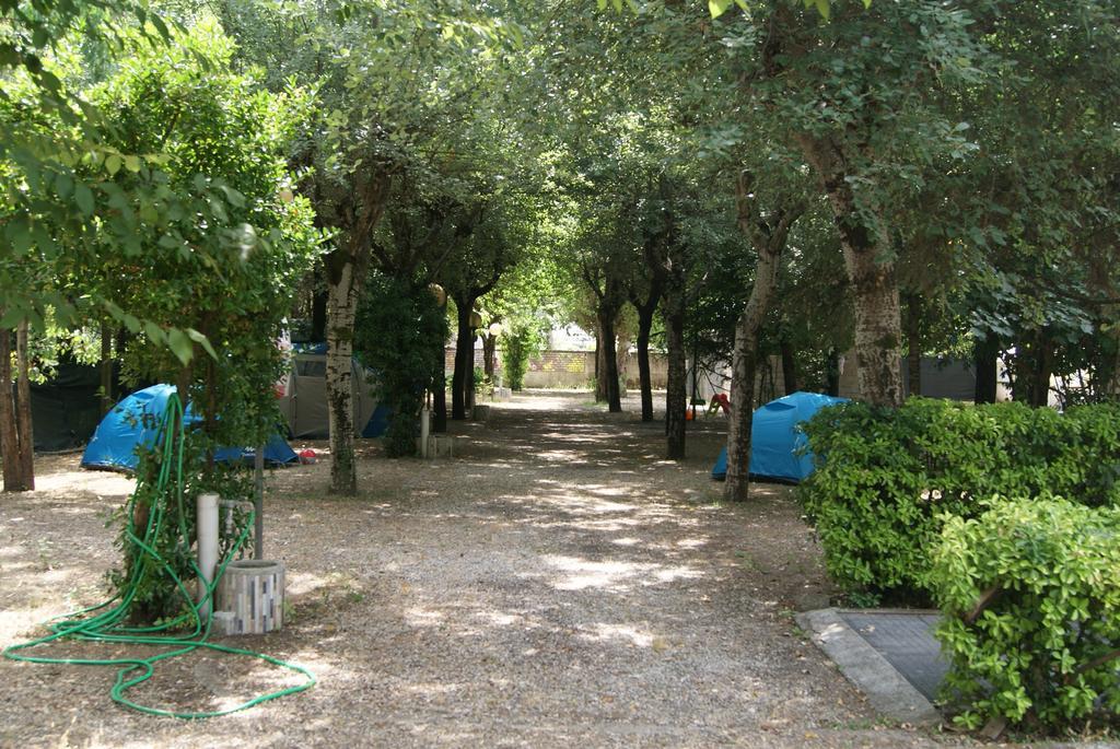 Camping Dolce Sole Marina di Massa Dış mekan fotoğraf