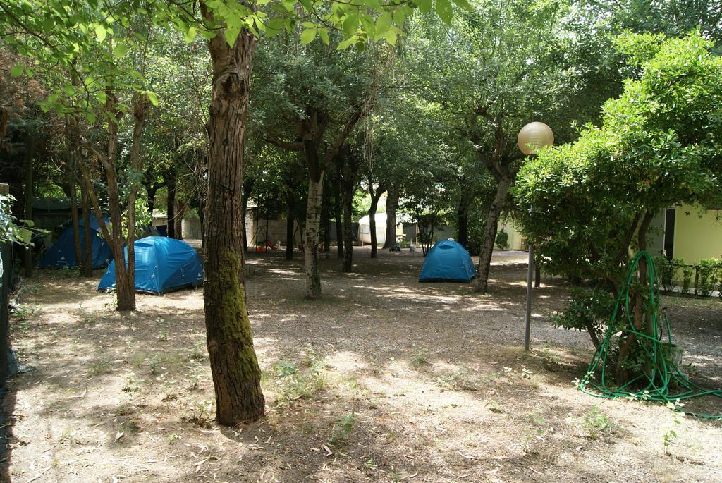 Camping Dolce Sole Marina di Massa Oda fotoğraf