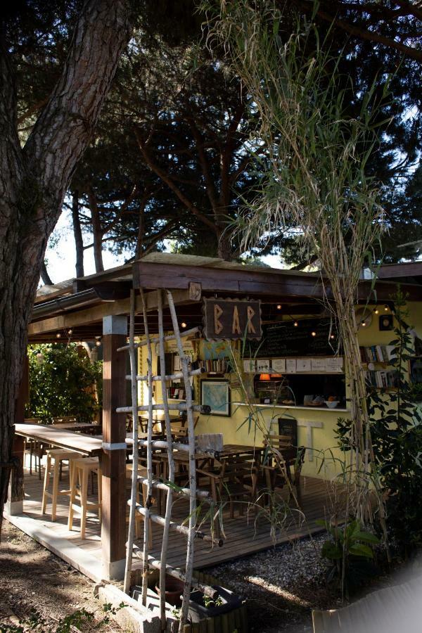 Camping Dolce Sole Marina di Massa Dış mekan fotoğraf